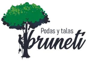 Tala y poda en altura arboles Provincia de Toledo