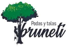 Guadalajara Tala y poda en altura poda de árboles