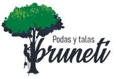 Tala y poda en altura arboles Provincia de Toledo