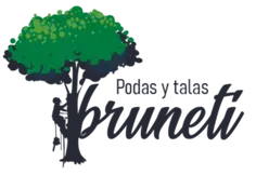 Tala y poda en altura arboles Provincia de Toledo