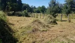 desbrozar  fincas y parcelas en Madrid