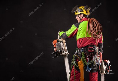Arborista realizando poda en altura en un jardín privado