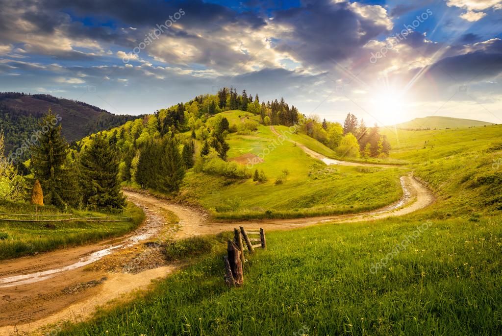 Finca con árboles y zona desbrozada