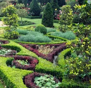 tu jardín con nutrientes y abono
