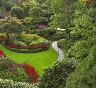 Mantenemos tu jardin mantenimiento de jardines
