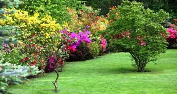 jardineros domicilio empresa de jardineria
