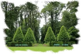 Desbroces de parcelas Barcelona 