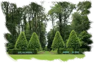 Tala y poda desbroces fincas y parcelas en la comunidad de Madrid Desbroces parcelas fincas Poda y tala en la comunidad de madrid