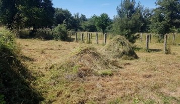 Desbroces de parcelas en Madrid Desbroces fincas en Madrid