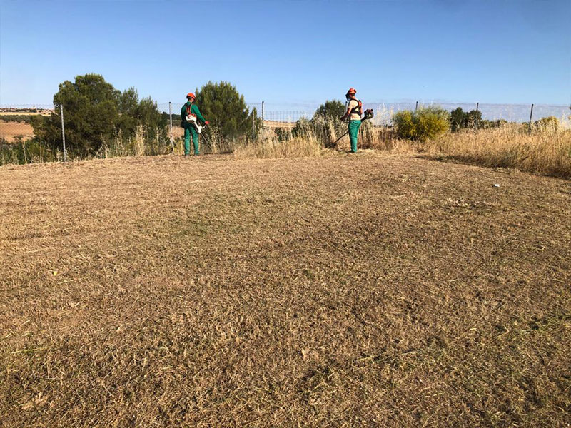 Desbroce terrenos limpiezas de fincas y parcelas