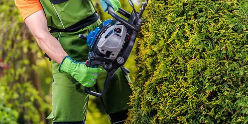 Desbroce de fincas y parcelas Barcelona y provincia Desbroce de fincas y parcelas Barcelona y provincia