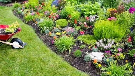 Desbroce de fincas y parcelas Barcelona y provincia Desbroce de fincas y parcelas Barcelona y provincia