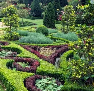 Eliminación Efectiva de Hierbas y Revive Tu Jardín